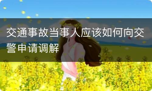 交通事故当事人应该如何向交警申请调解