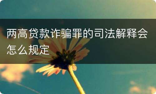 两高贷款诈骗罪的司法解释会怎么规定