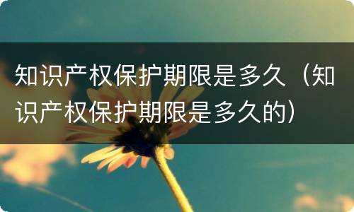 知识产权保护期限是多久（知识产权保护期限是多久的）
