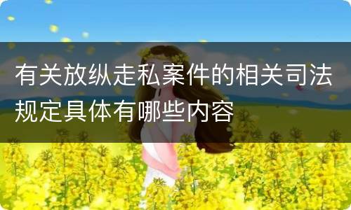 有关放纵走私案件的相关司法规定具体有哪些内容