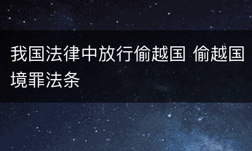 我国法律中放行偷越国 偷越国境罪法条