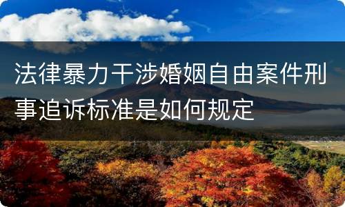 法律暴力干涉婚姻自由案件刑事追诉标准是如何规定