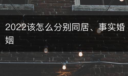 2022该怎么分别同居、事实婚姻