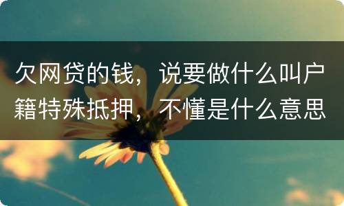 欠网贷的钱，说要做什么叫户籍特殊抵押，不懂是什么意思