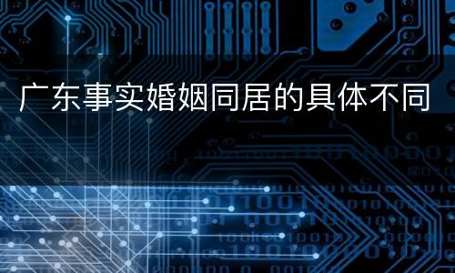 广东事实婚姻同居的具体不同
