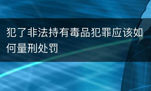 犯了非法持有毒品犯罪应该如何量刑处罚