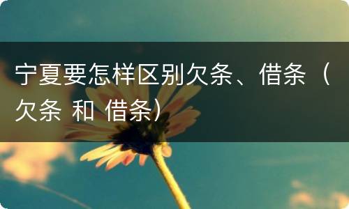 宁夏要怎样区别欠条、借条（欠条 和 借条）