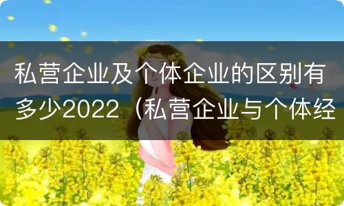 私营企业及个体企业的区别有多少2022（私营企业与个体经营企业的区别）