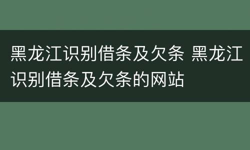 黑龙江识别借条及欠条 黑龙江识别借条及欠条的网站