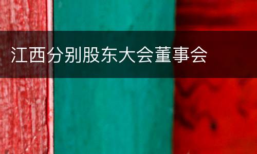 江西分别股东大会董事会