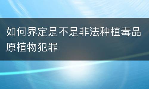 如何界定是不是非法种植毒品原植物犯罪