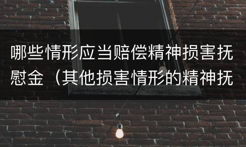 哪些情形应当赔偿精神损害抚慰金（其他损害情形的精神抚慰金）