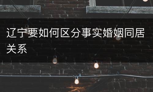 辽宁要如何区分事实婚姻同居关系