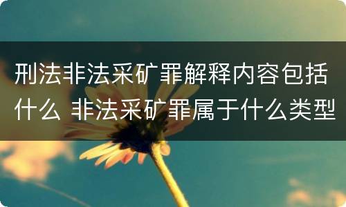 刑法非法采矿罪解释内容包括什么 非法采矿罪属于什么类型罪