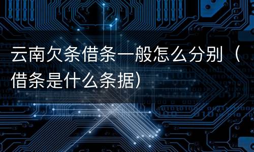 云南欠条借条一般怎么分别（借条是什么条据）