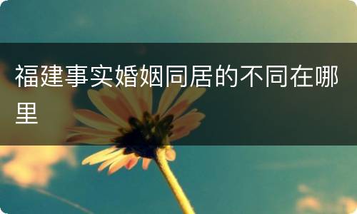 福建事实婚姻同居的不同在哪里