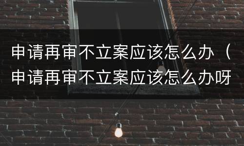 申请再审不立案应该怎么办（申请再审不立案应该怎么办呀）