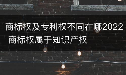商标权及专利权不同在哪2022 商标权属于知识产权