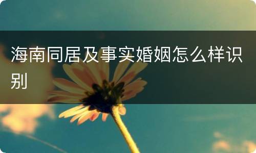 海南同居及事实婚姻怎么样识别