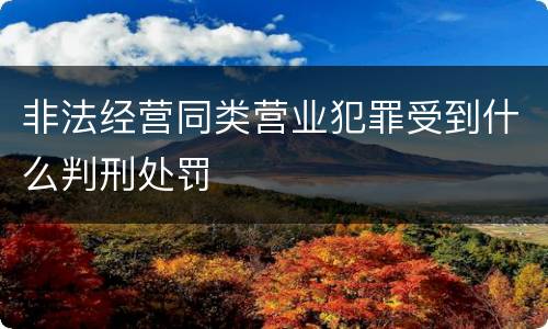 非法经营同类营业犯罪受到什么判刑处罚
