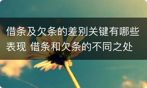 借条及欠条的差别关键有哪些表现 借条和欠条的不同之处