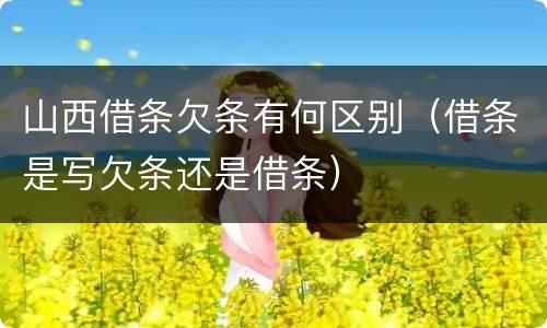 山西借条欠条有何区别（借条是写欠条还是借条）
