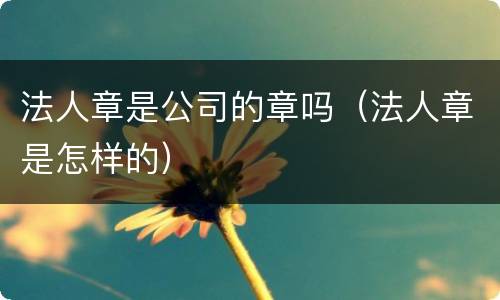 法人章是公司的章吗（法人章是怎样的）