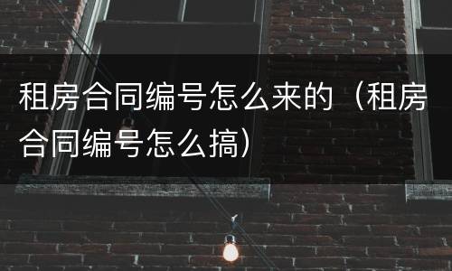 租房合同编号怎么来的（租房合同编号怎么搞）
