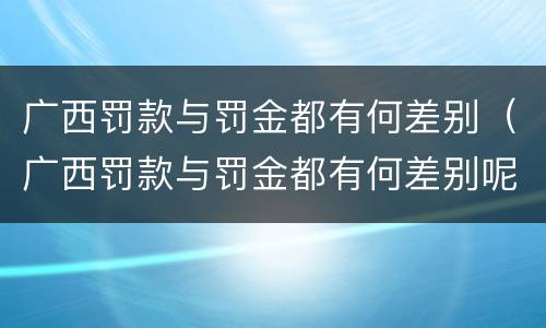 广西罚款与罚金都有何差别（广西罚款与罚金都有何差别呢）