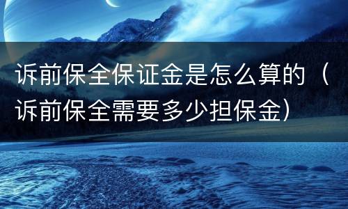 诉前保全保证金是怎么算的（诉前保全需要多少担保金）