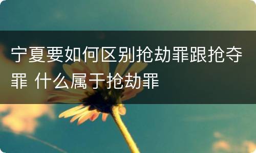 宁夏要如何区别抢劫罪跟抢夺罪 什么属于抢劫罪