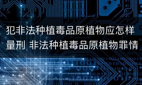 犯非法种植毒品原植物应怎样量刑 非法种植毒品原植物罪情节严重的三种情形