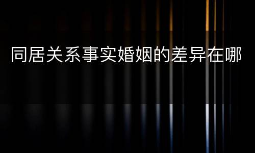 同居关系事实婚姻的差异在哪