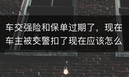 车交强险和保单过期了，现在车主被交警扣了现在应该怎么办