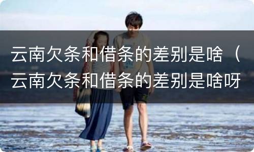 云南欠条和借条的差别是啥（云南欠条和借条的差别是啥呀）