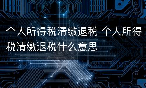 个人所得税清缴退税 个人所得税清缴退税什么意思