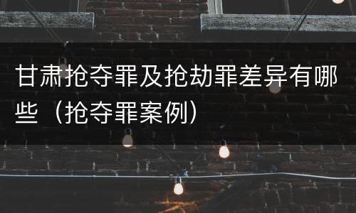 甘肃抢夺罪及抢劫罪差异有哪些（抢夺罪案例）