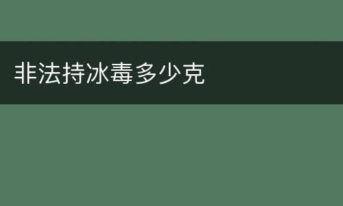非法持冰毒多少克