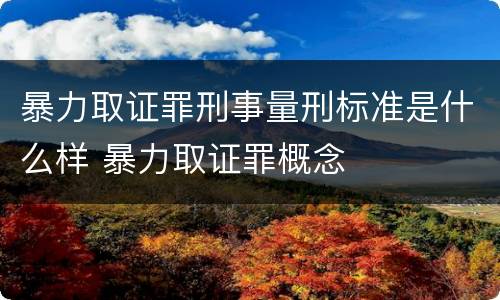暴力取证罪刑事量刑标准是什么样 暴力取证罪概念