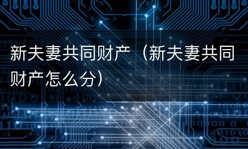 新夫妻共同财产（新夫妻共同财产怎么分）