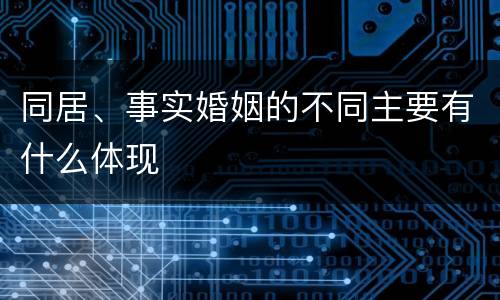 同居、事实婚姻的不同主要有什么体现