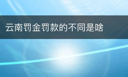 云南罚金罚款的不同是啥