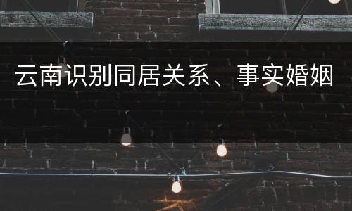 云南识别同居关系、事实婚姻