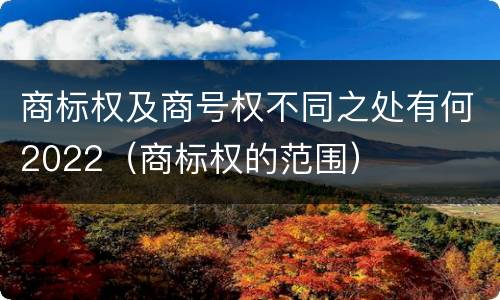 商标权及商号权不同之处有何2022（商标权的范围）