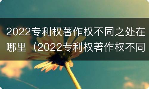 2022专利权著作权不同之处在哪里（2022专利权著作权不同之处在哪里查询）