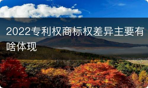 2022专利权商标权差异主要有啥体现