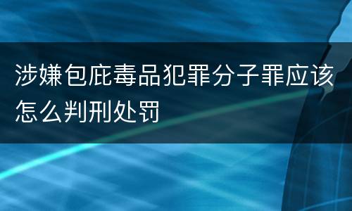 涉嫌包庇毒品犯罪分子罪应该怎么判刑处罚