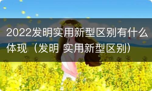 2022发明实用新型区别有什么体现（发明 实用新型区别）