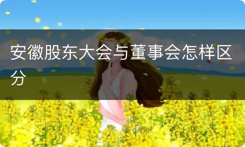 安徽股东大会与董事会怎样区分