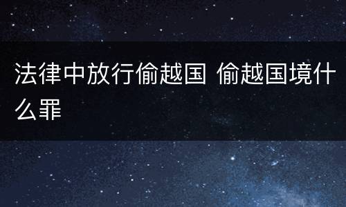 法律中放行偷越国 偷越国境什么罪